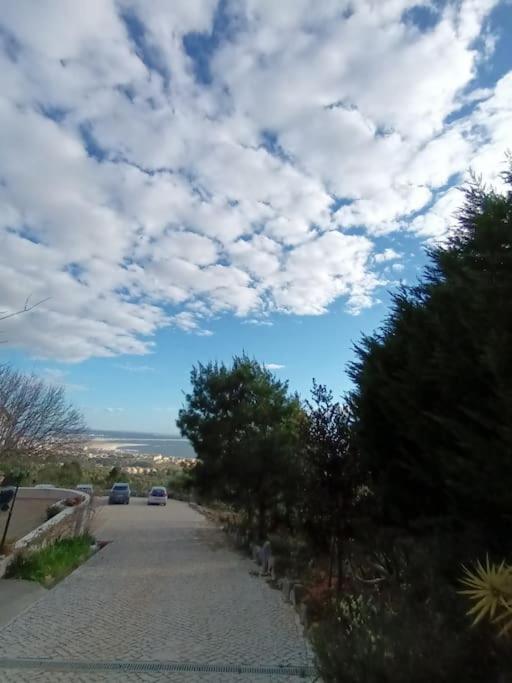 Casa Na Floresta Figueira da Foz Εξωτερικό φωτογραφία