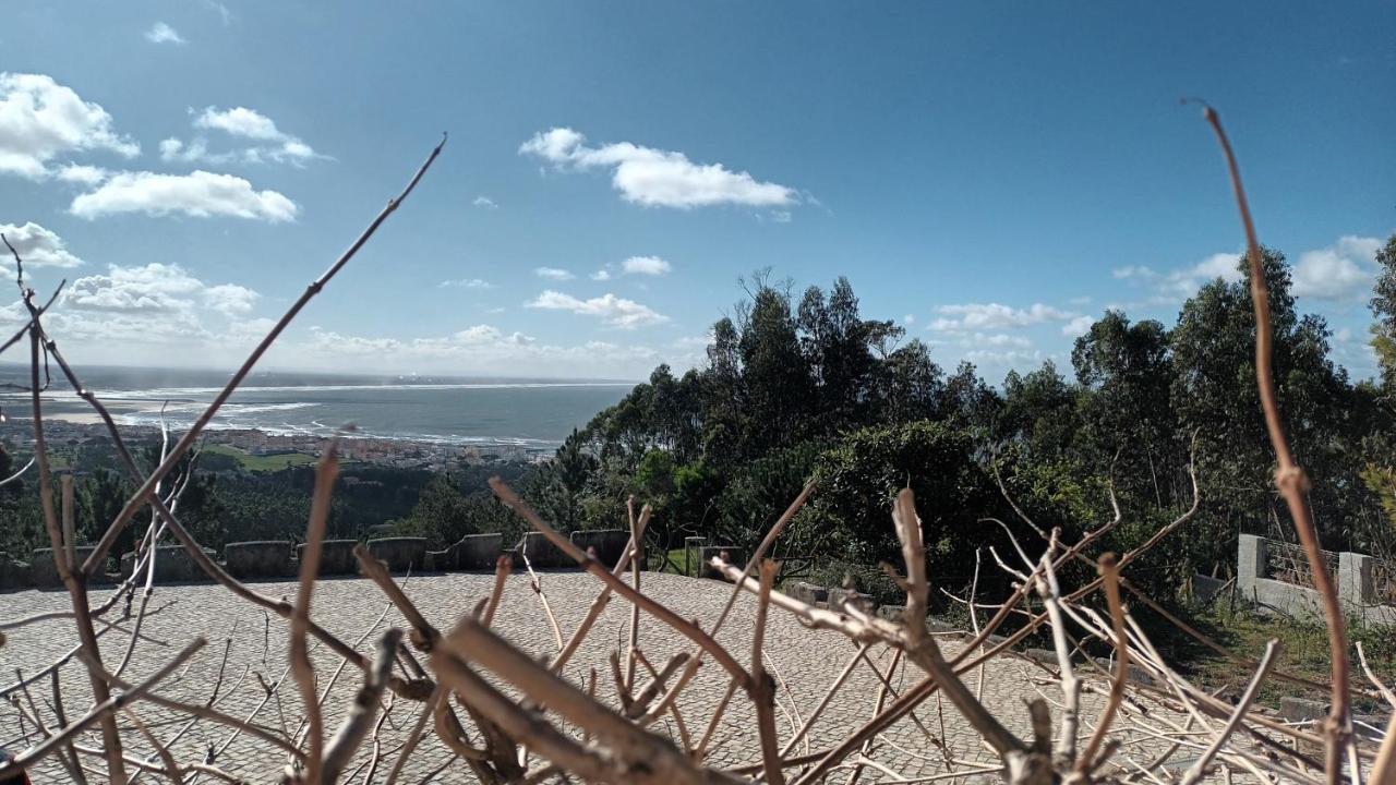 Casa Na Floresta Figueira da Foz Εξωτερικό φωτογραφία
