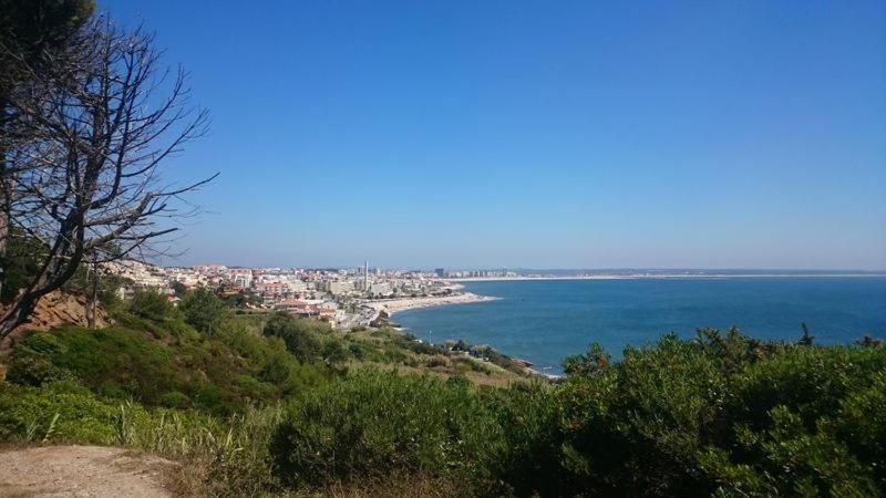 Casa Na Floresta Figueira da Foz Εξωτερικό φωτογραφία